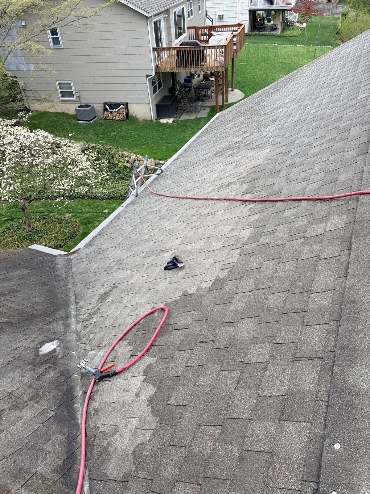 Roof soft washing in Morristown — at work